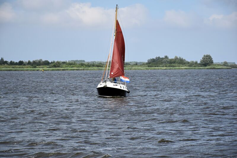 Bestand:Ries-bosch-u f1KOMLAcc-unsplash.jpg